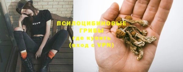 ECSTASY Вяземский