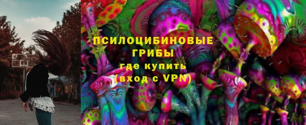 ECSTASY Вяземский